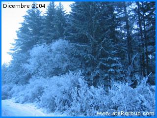 Alto Adige Invernale